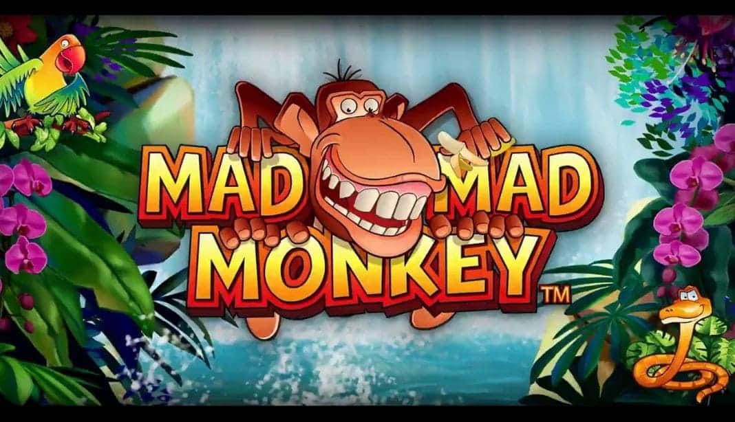 slot Mad Mad Monkey tragaperras online nextgen
