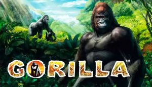 slot Gorilla tragaperras online Novomatic