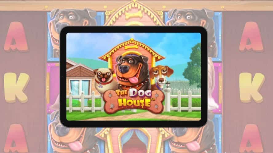 Saga de slots The Dog House