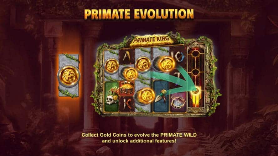 Función Primate Evolution de Primate King Megaways