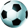 pelota